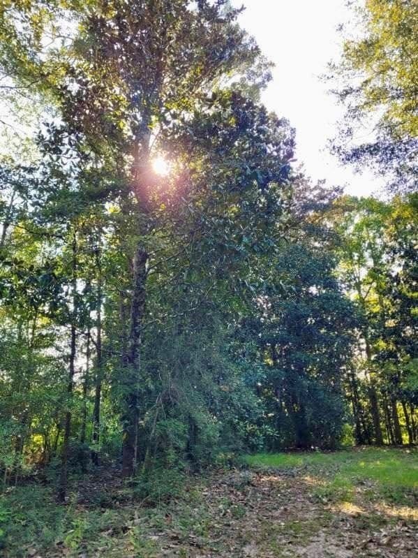3.72 acres in Texas County - photo 15