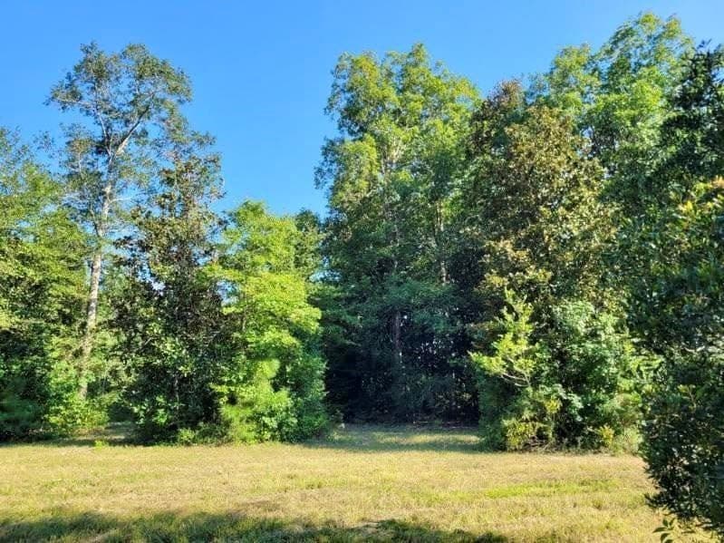 3.72 acres in Texas County - photo 11