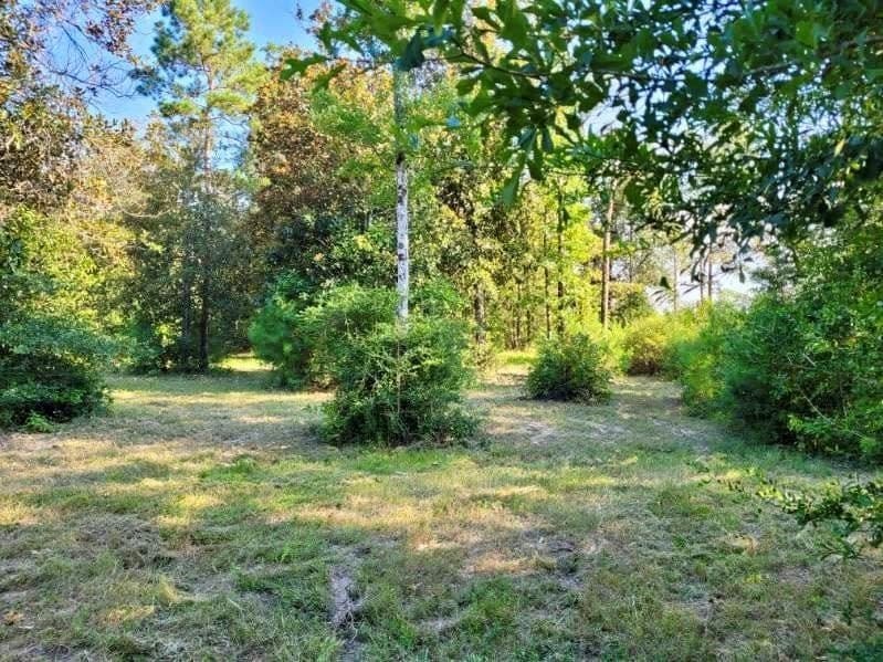 3.72 acres in Texas County - photo 9