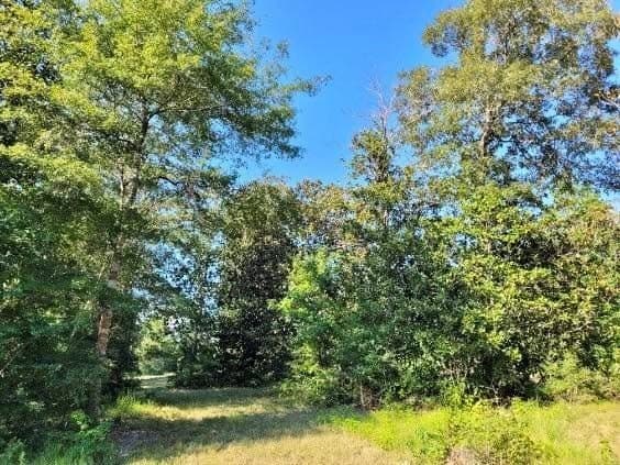 3.72 acres in Texas County - photo 13