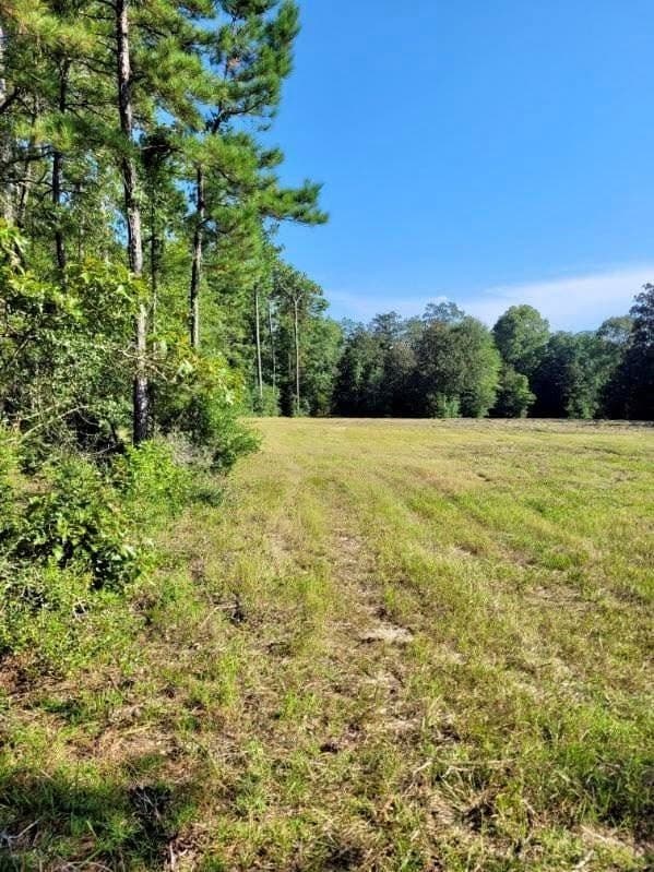 3.72 acres in Texas County - photo 16