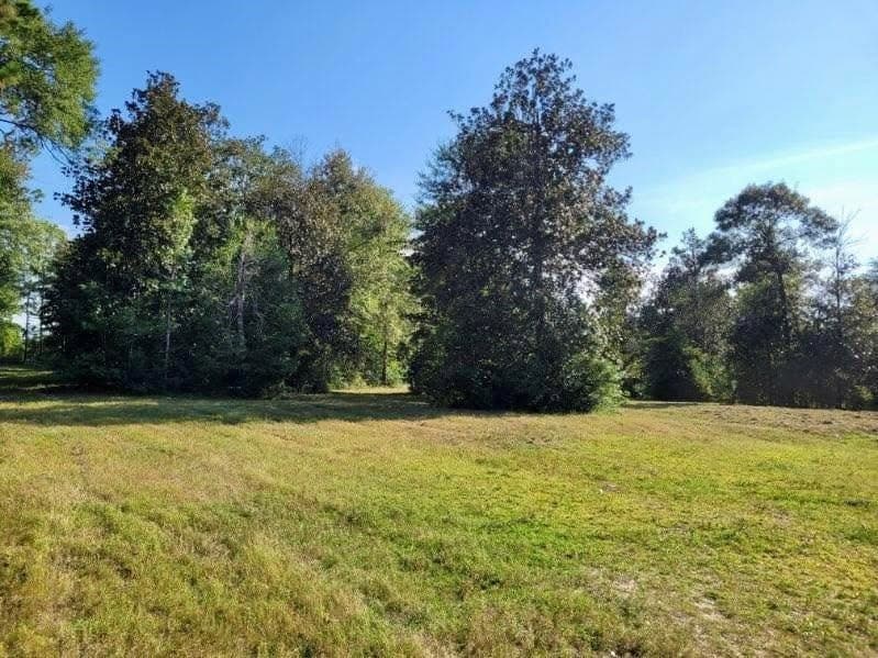 3.72 acres in Texas County gallery image 3