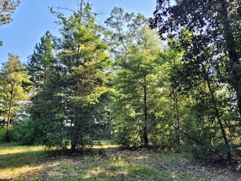 3.72 acres in Texas County - photo 12