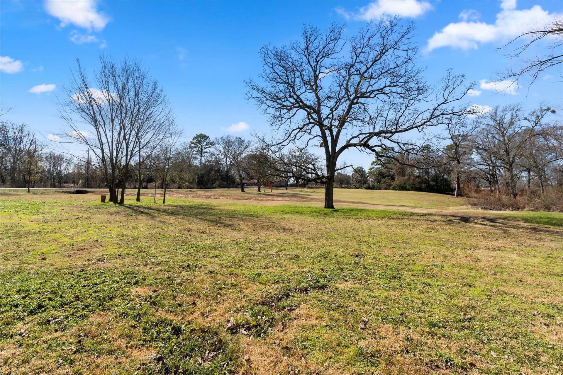 4.66 acres in Titus County - photo 14