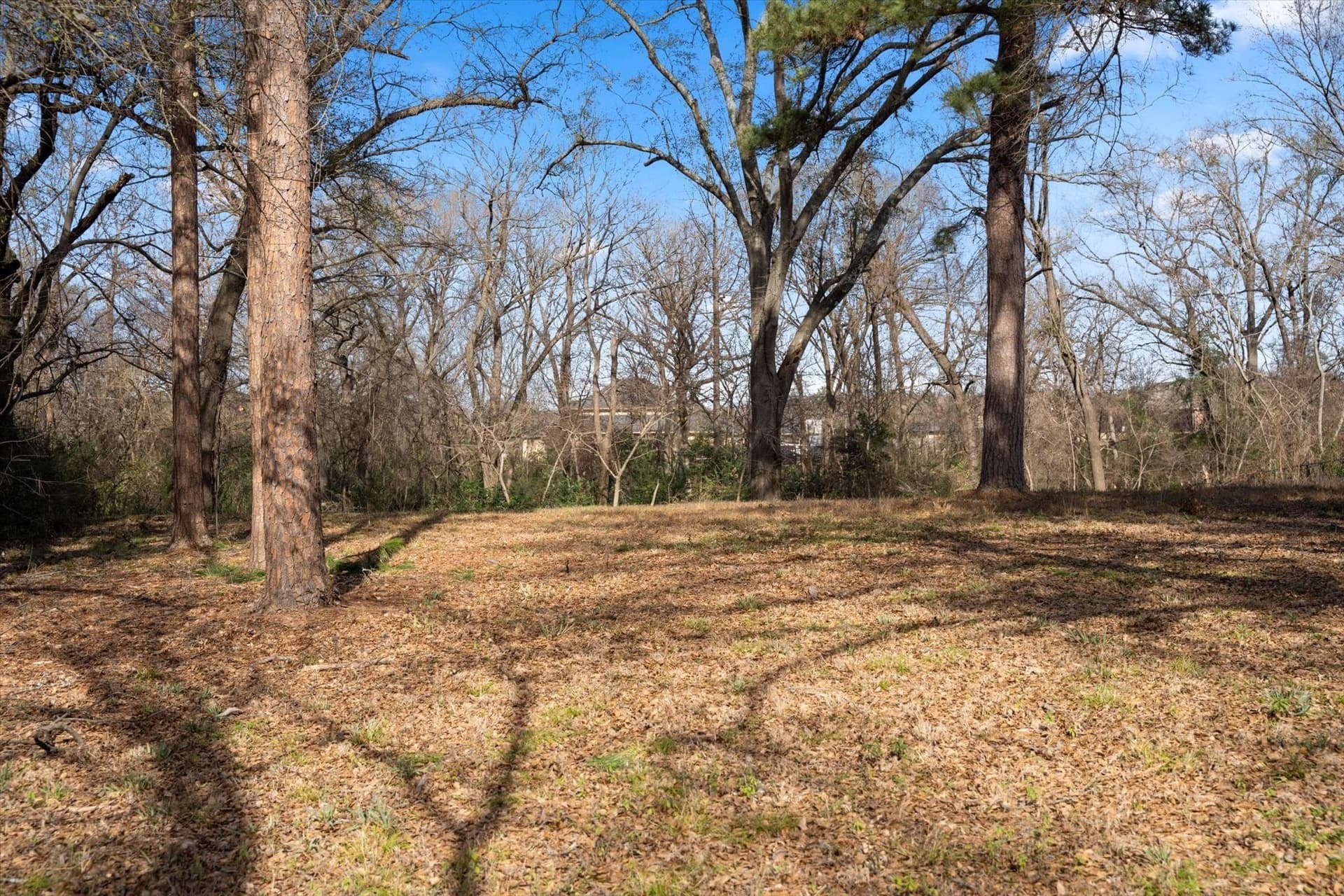 4.66 acres in Titus County - photo 18