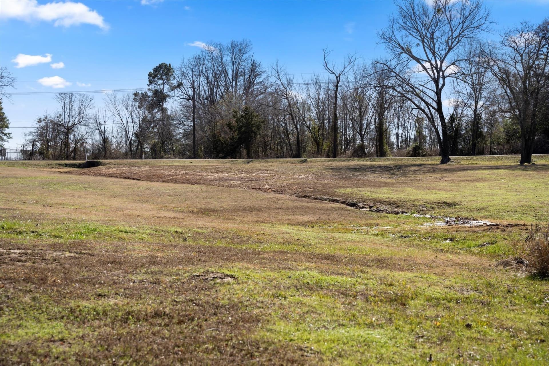 4.66 acres in Titus County - photo 15