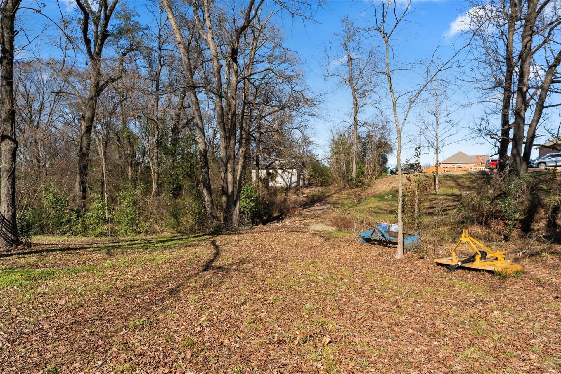 4.66 acres in Titus County - photo 16