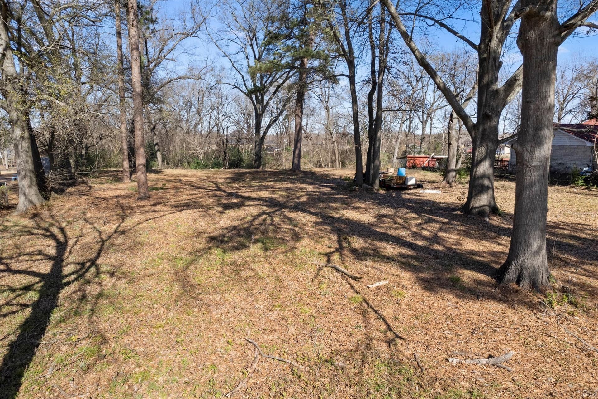 4.66 acres in Titus County - photo 12