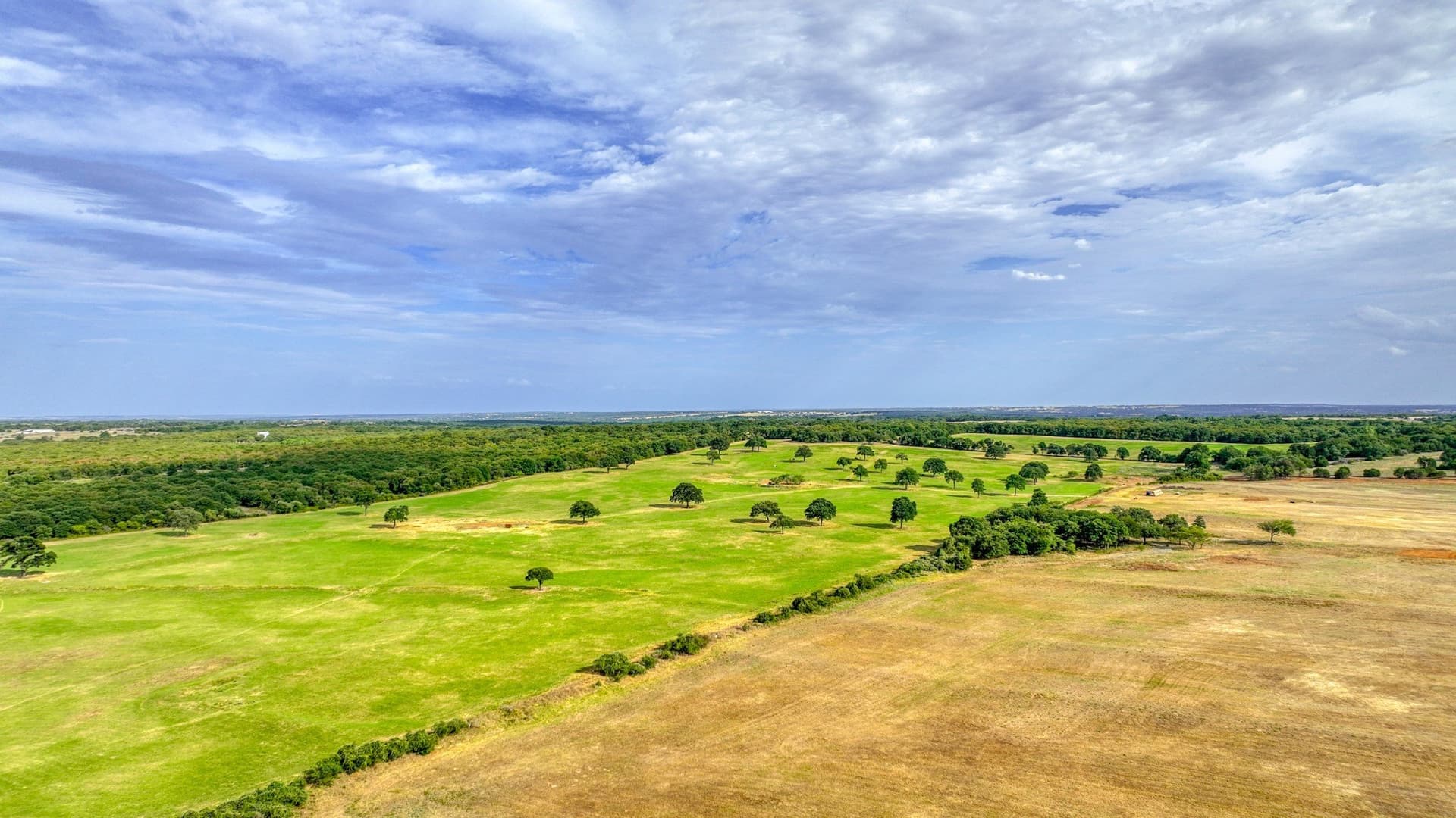 10 acres in Parker County - photo 14