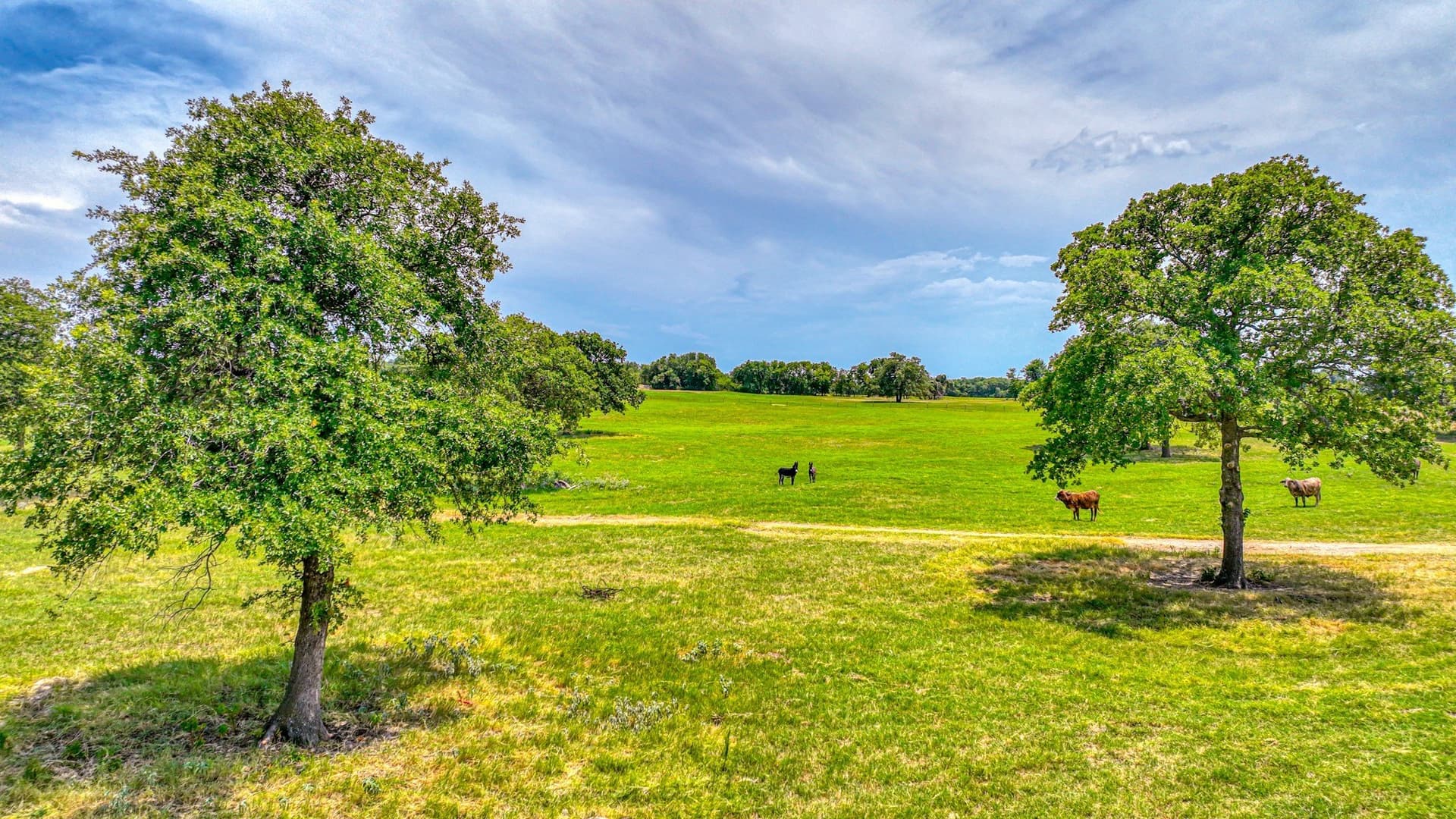 10 acres in Parker County - photo 10