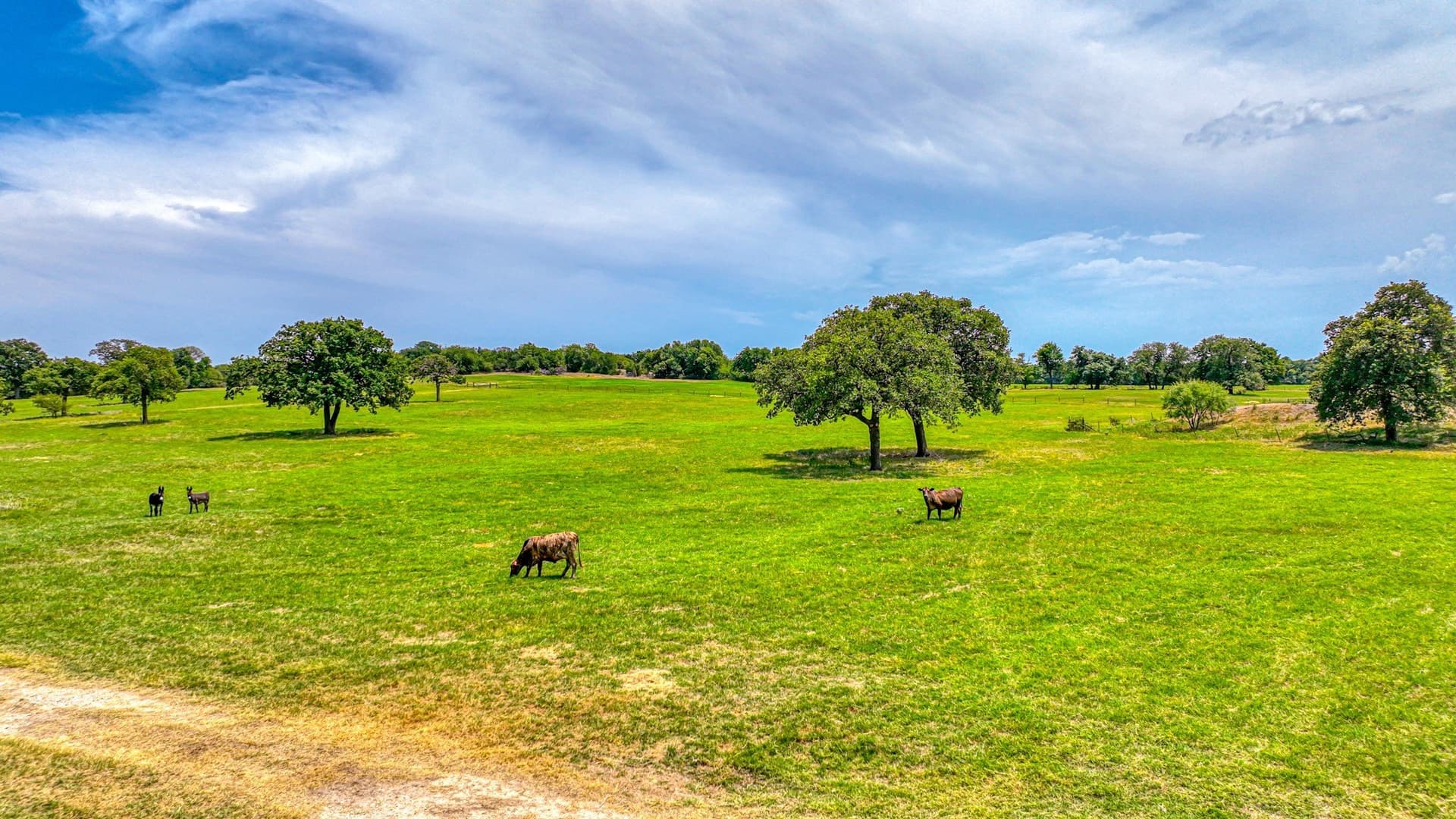 10 acres in Parker County - photo 2