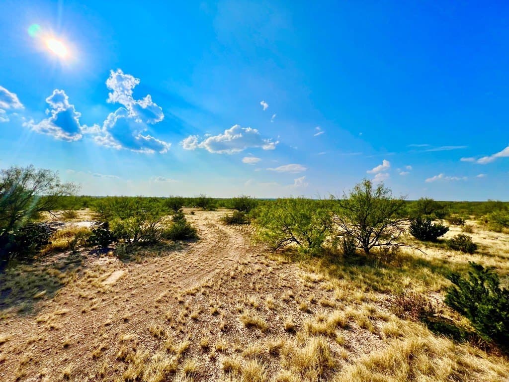 20.01 acres in Maverick County featured view
