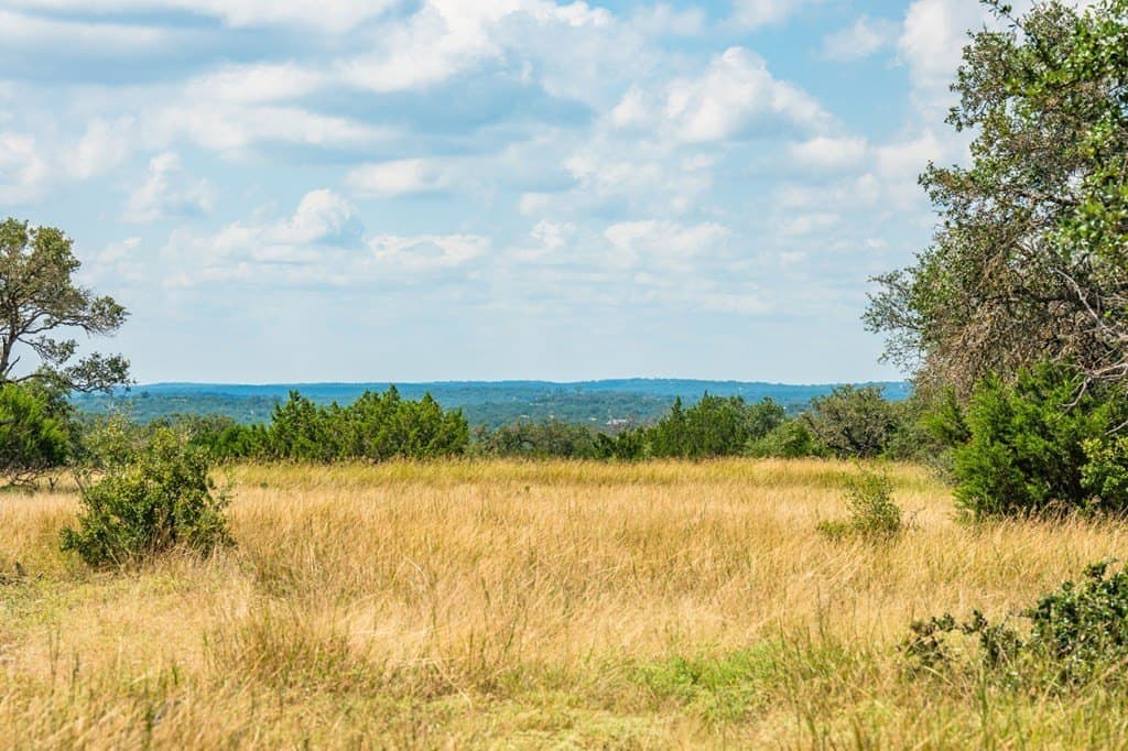 100.02 acres in Real County gallery image 3