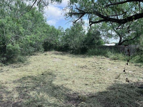 0.25 acres in Jim Wells County - photo 5
