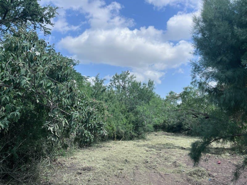 0.25 acres in Jim Wells County - photo 4