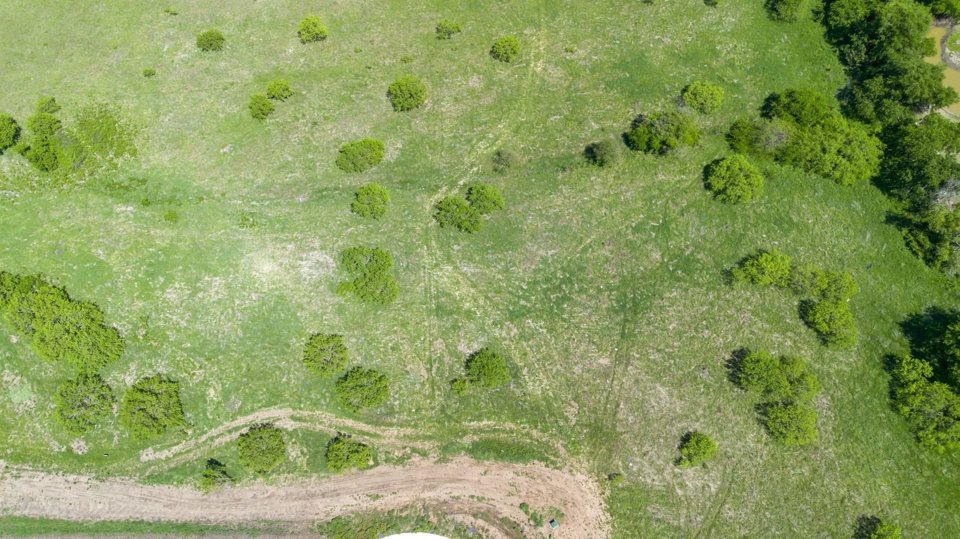 2.01 acres in Parker County gallery image 2