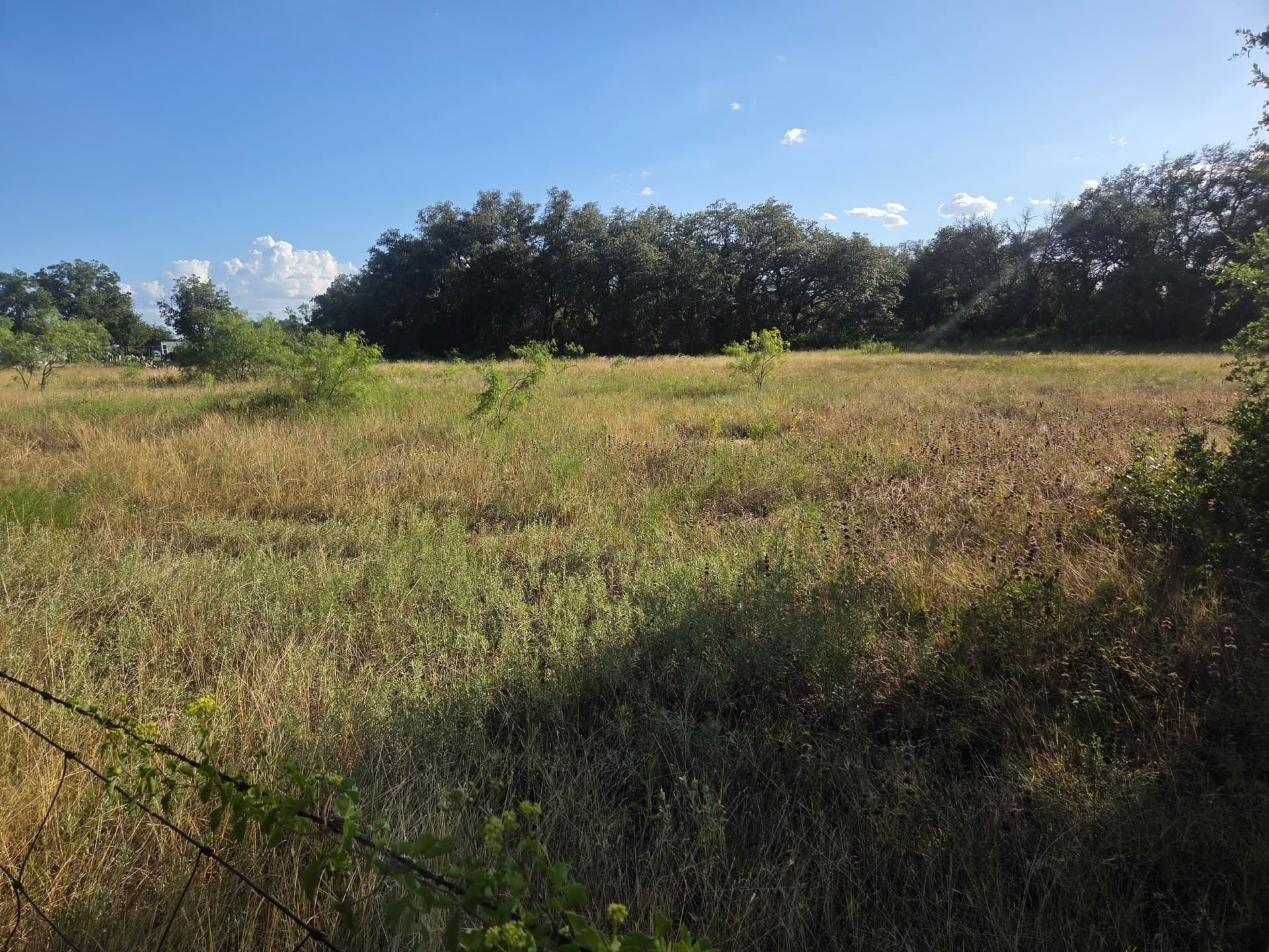 5.37 acres in Brown County gallery image 4