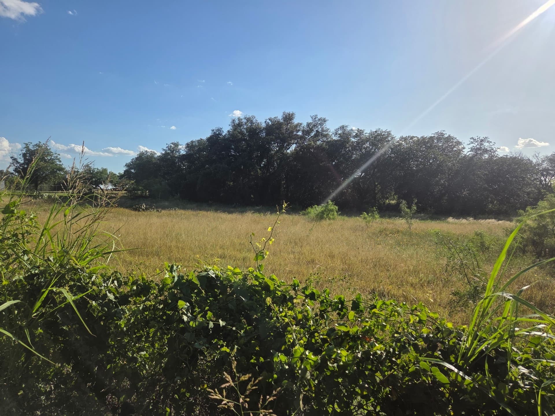 5.37 acres in Brown County gallery image 3