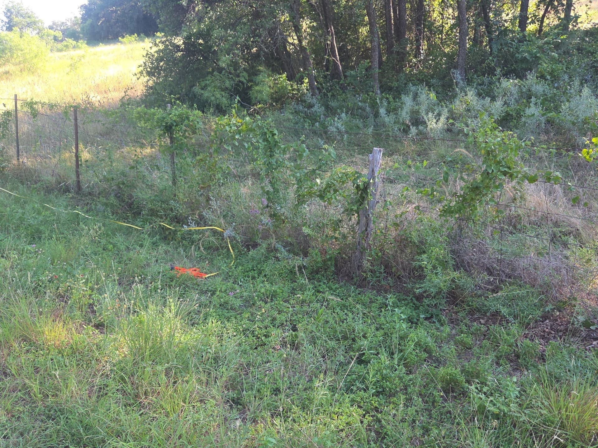 5.37 acres in Brown County featured view
