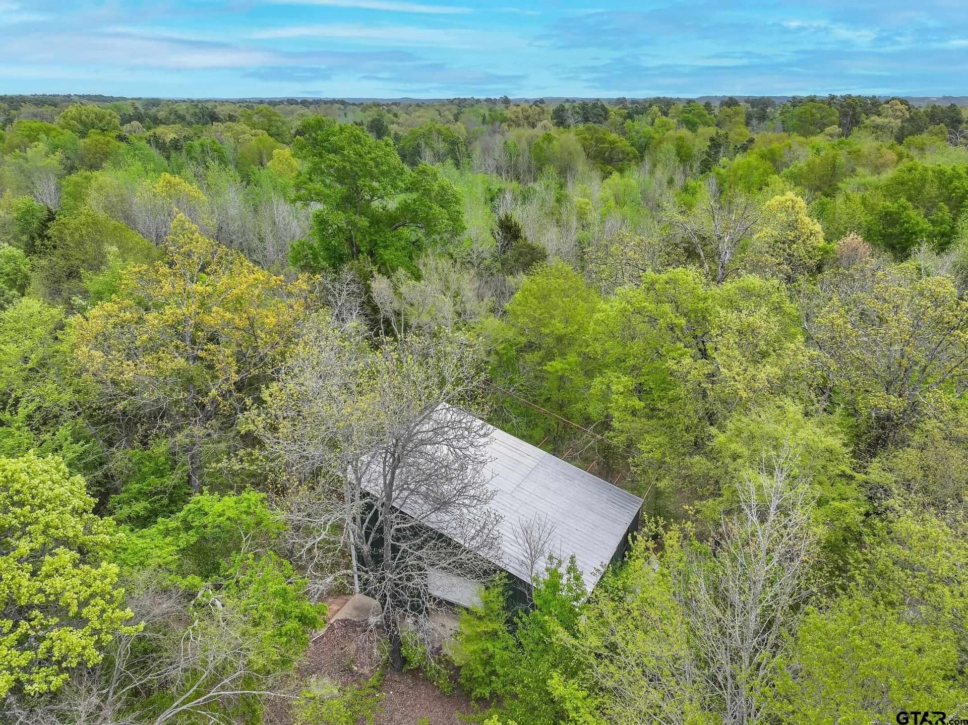 18 acres in Henderson County gallery image 3