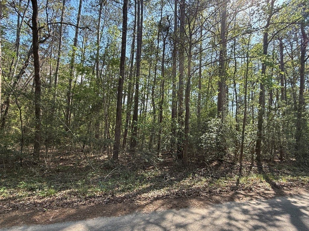 0.21 acres in Texas County - photo 4