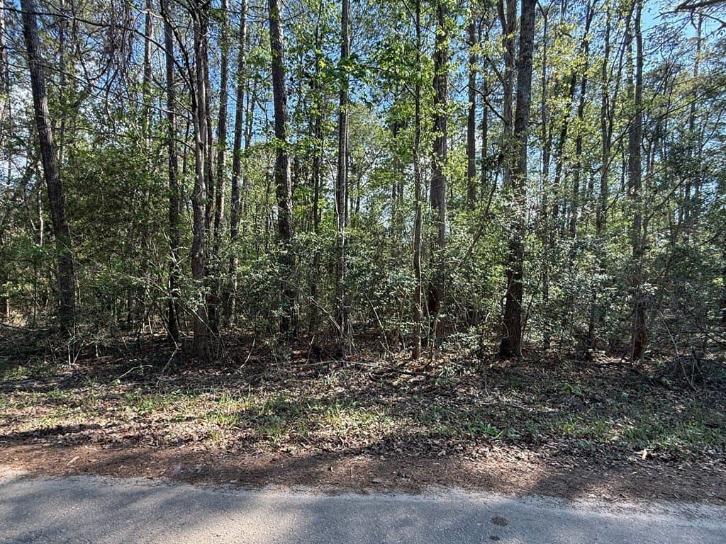 0.21 acres in Texas County - photo 5