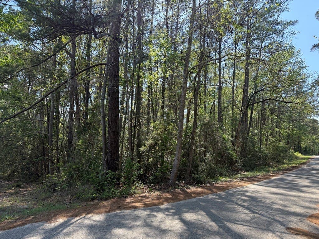 0.21 acres in Texas County - photo 3