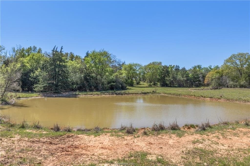 49.67 acres in Robertson County - photo 34