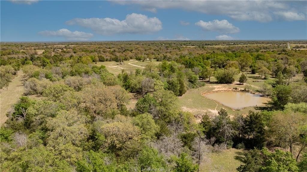 49.67 acres in Robertson County - photo 28