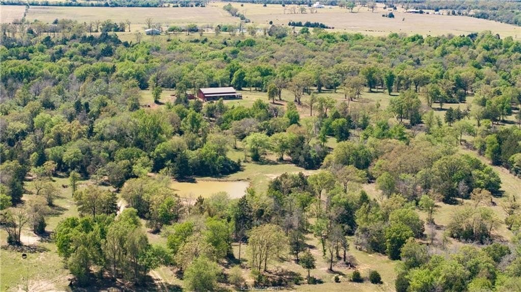 49.67 acres in Robertson County - photo 43