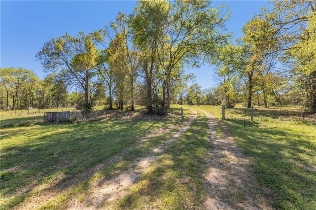 49.67 acres in Robertson County - photo 38