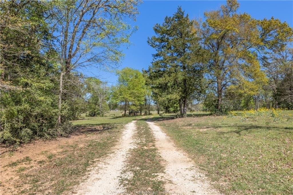 49.67 acres in Robertson County - photo 37