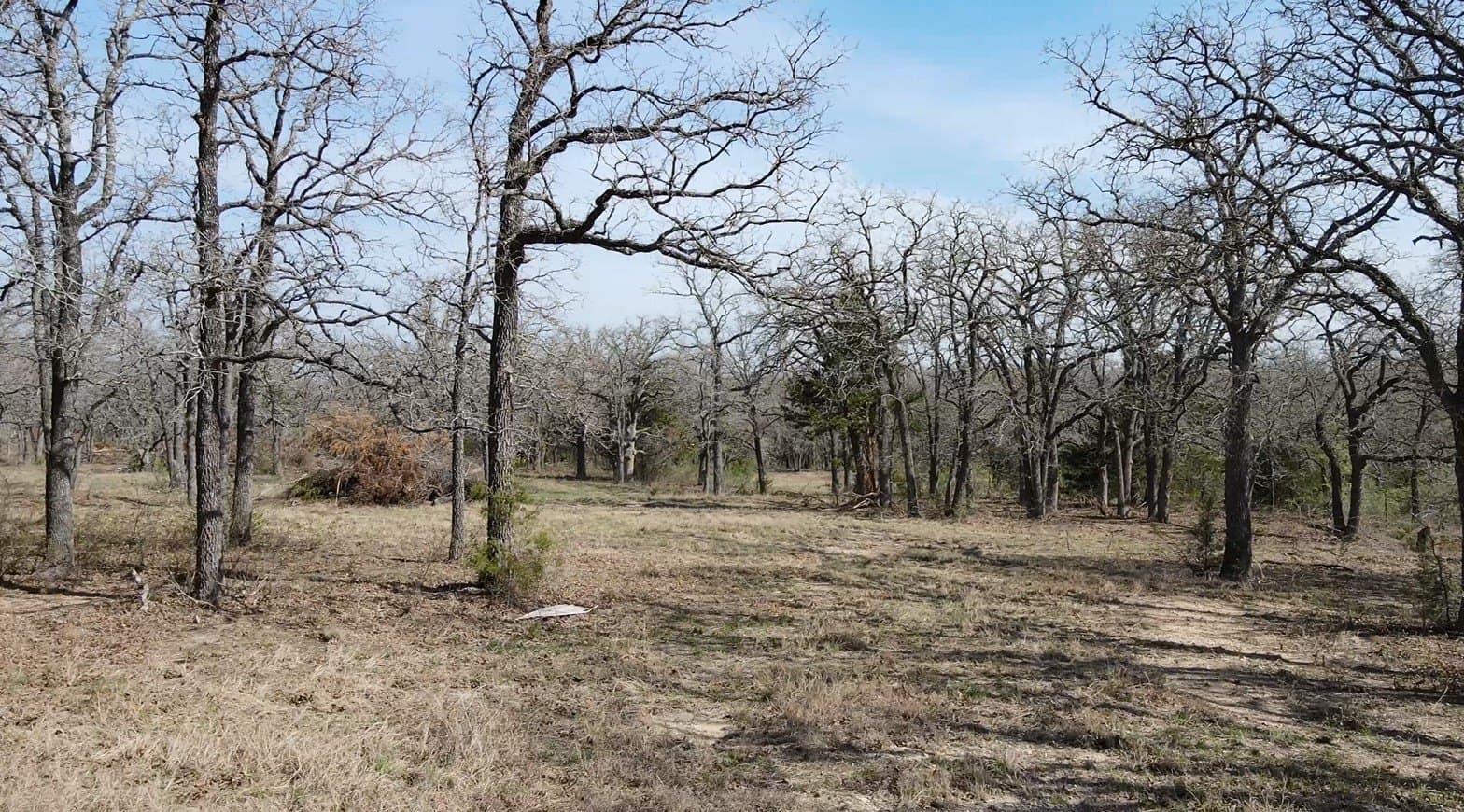 10.73 acres in McLennan County gallery image 2