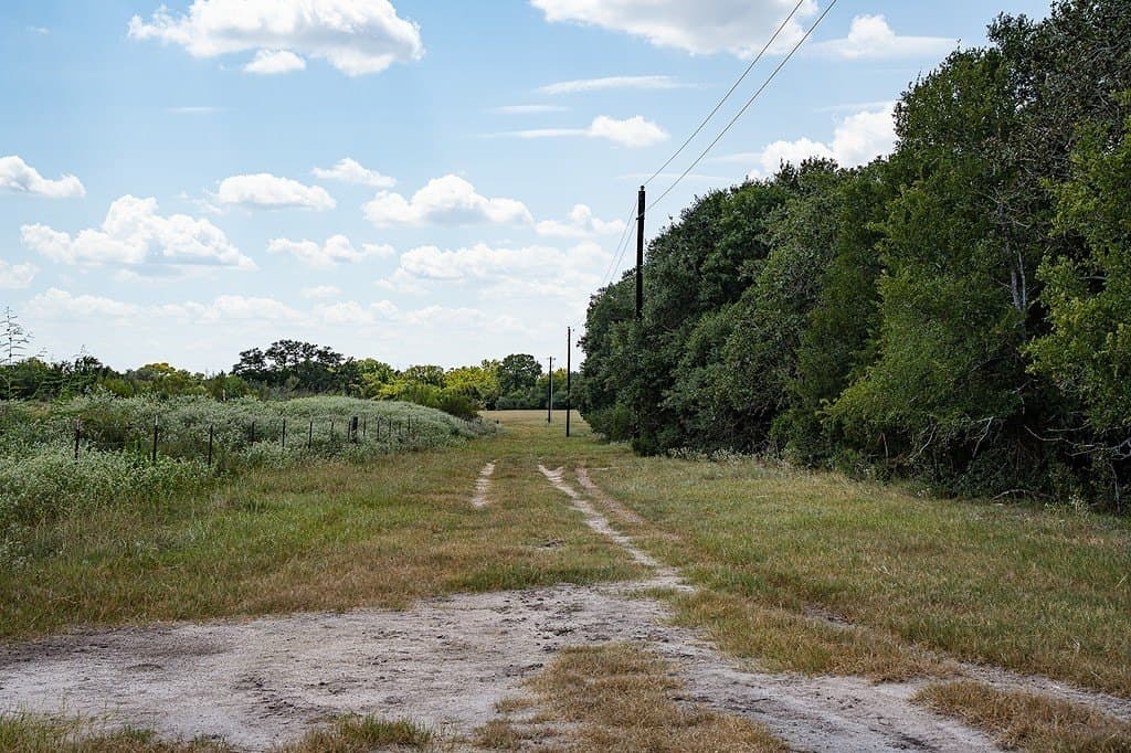 56.22 acres in Fayette County - photo 17