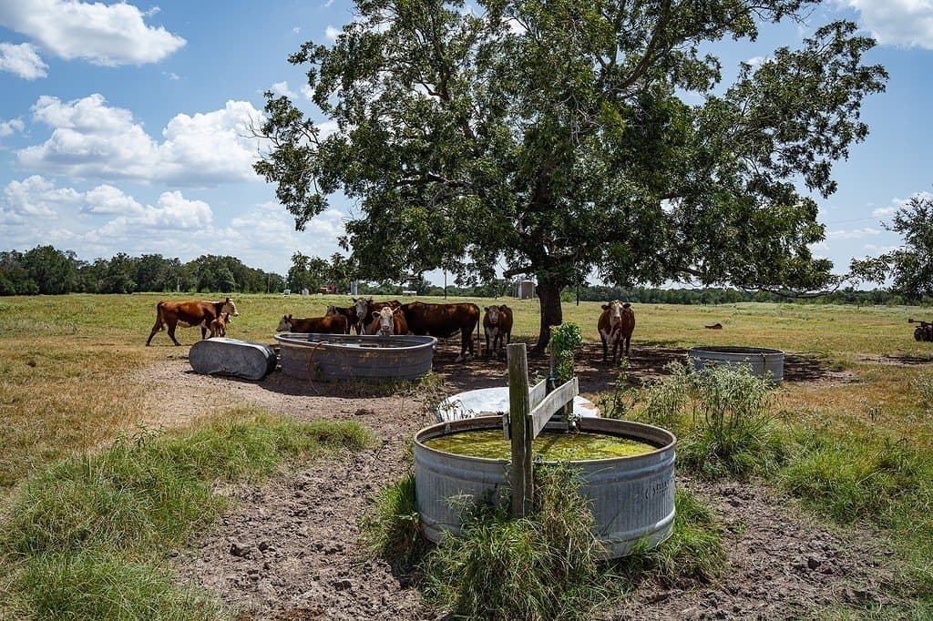 56.22 acres in Fayette County - photo 15