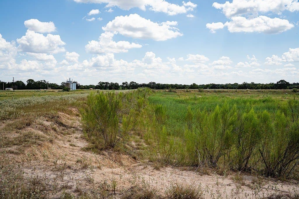 56.22 acres in Fayette County - photo 24
