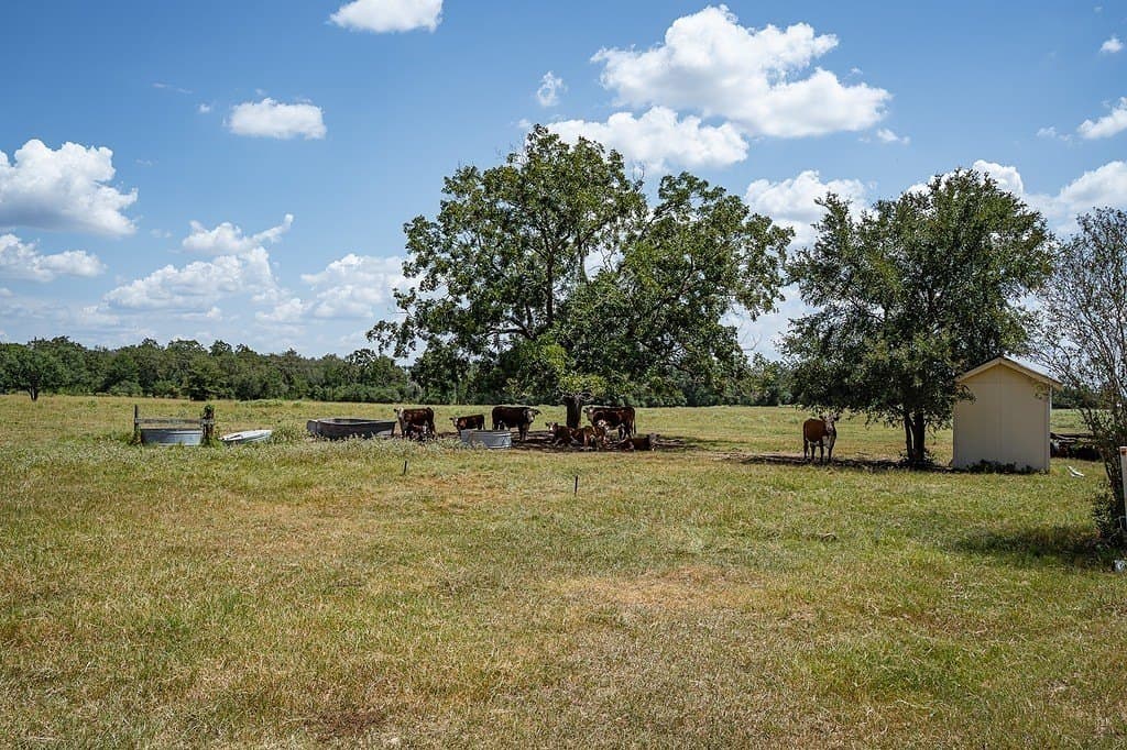 56.22 acres in Fayette County - photo 16
