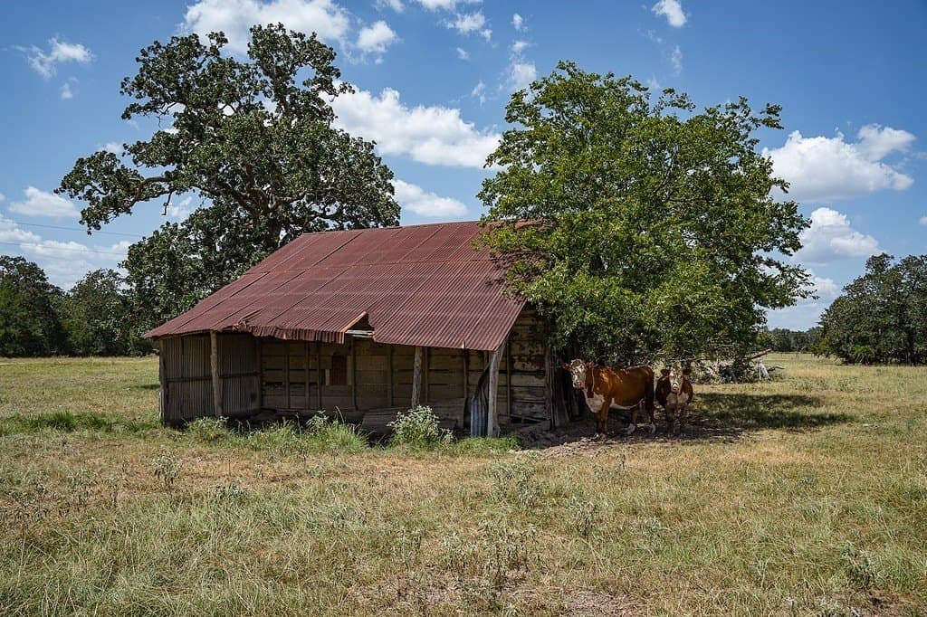 56.22 acres in Fayette County - photo 11