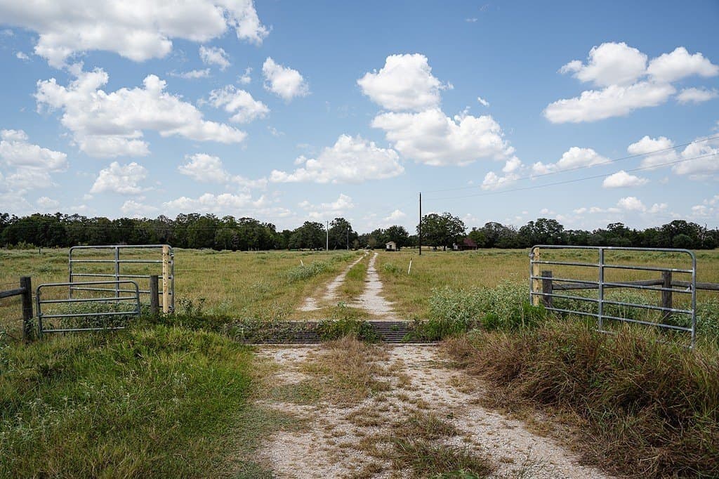 56.22 acres in Fayette County - photo 19