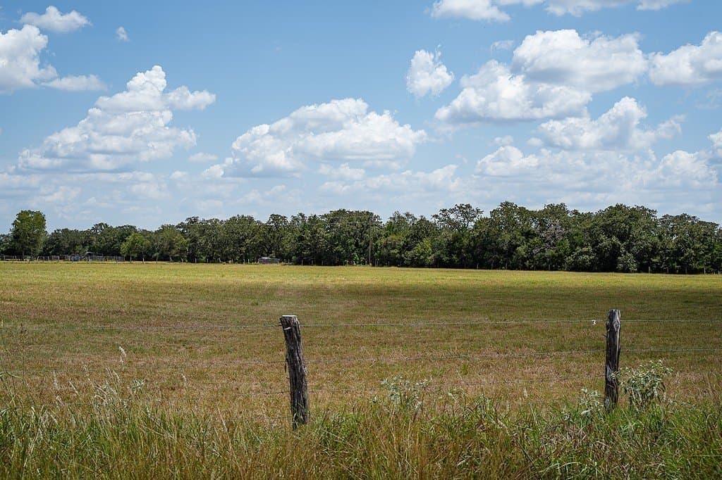 56.22 acres in Fayette County - photo 6