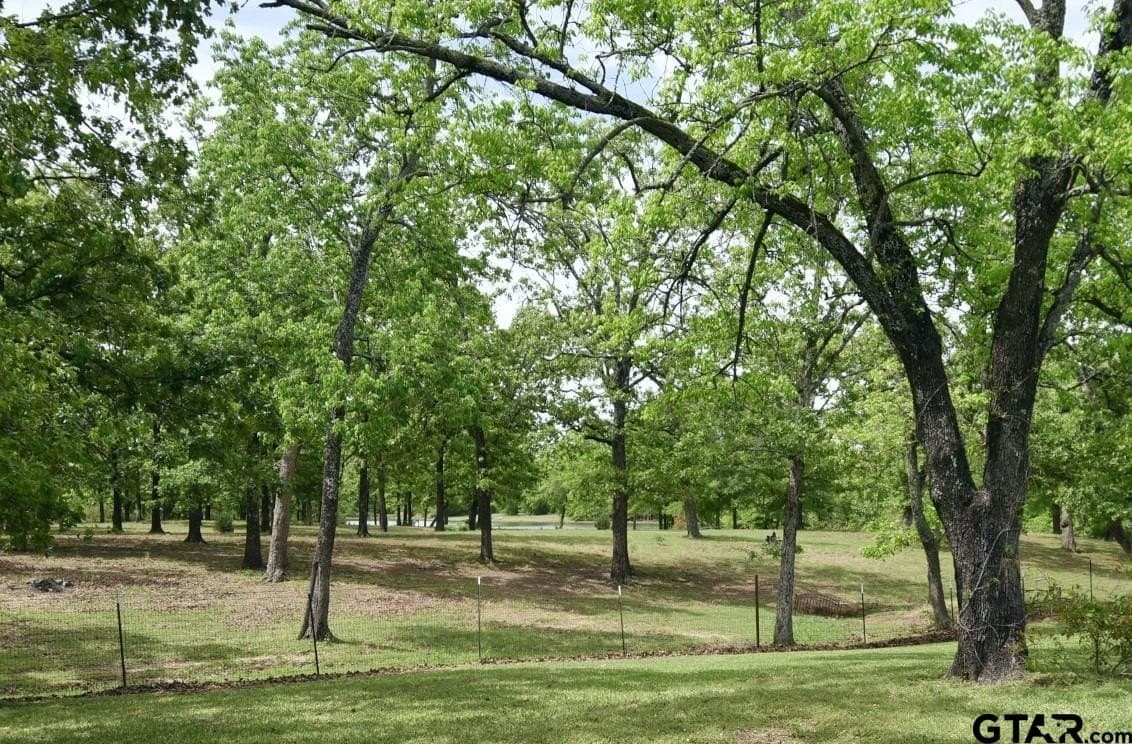32.6 acres in Wood County - photo 6