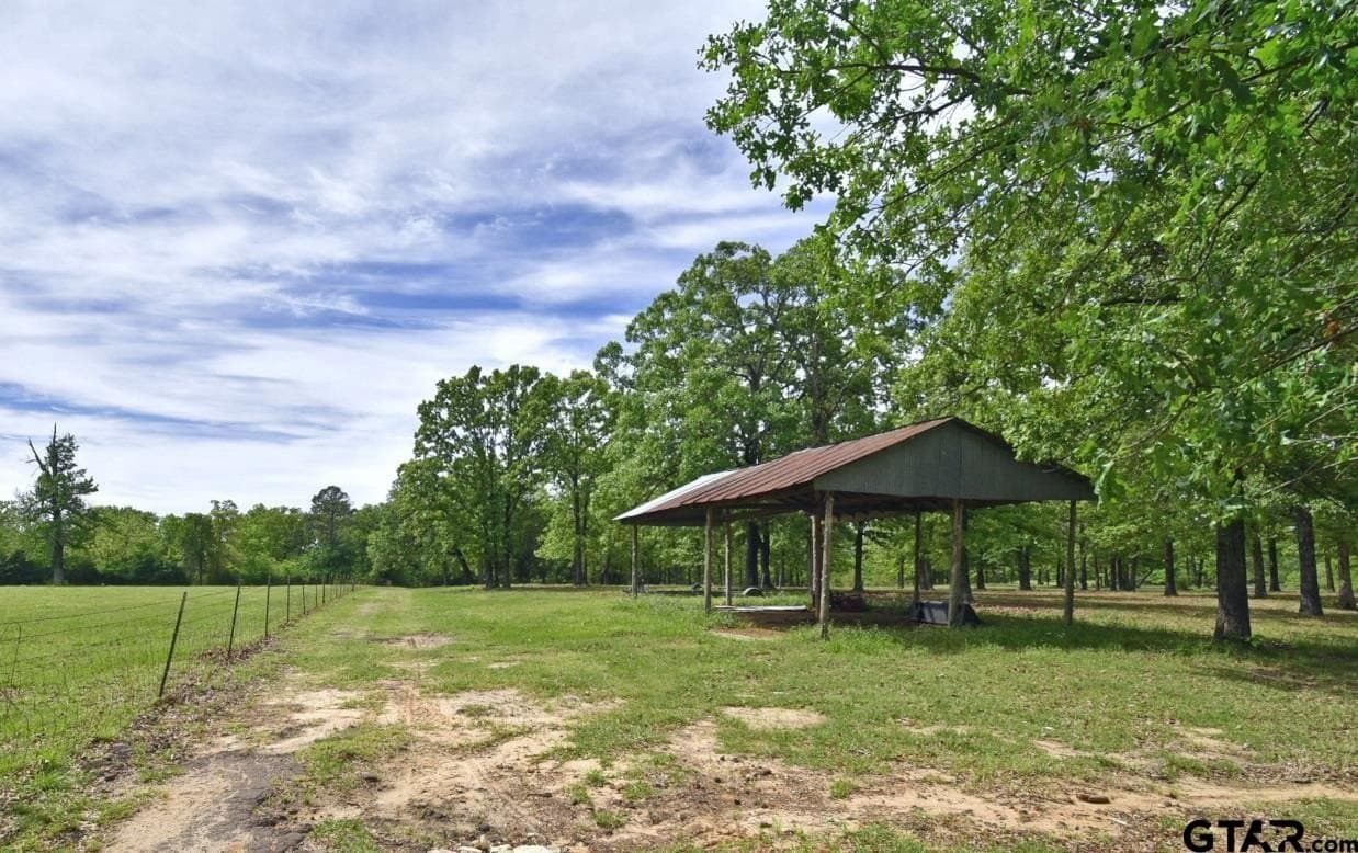 32.6 acres in Wood County - photo 5