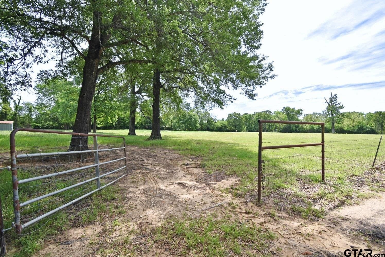 32.6 acres in Wood County - photo 3