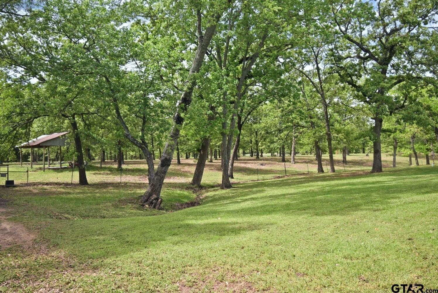 32.6 acres in Wood County - photo 4