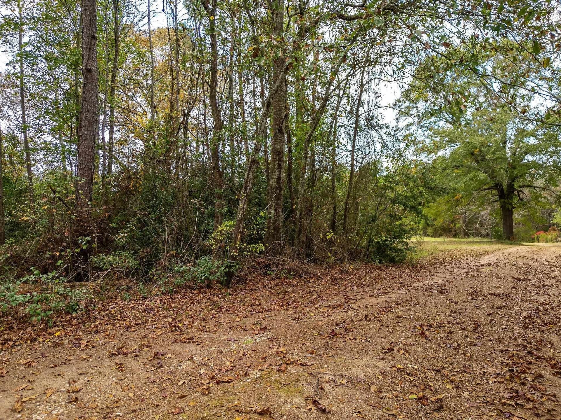 16.88 acres in Texas County - photo 6