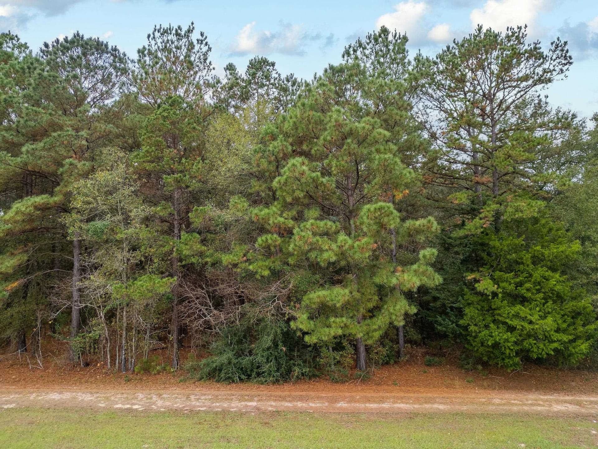 16.88 acres in Texas County - photo 7