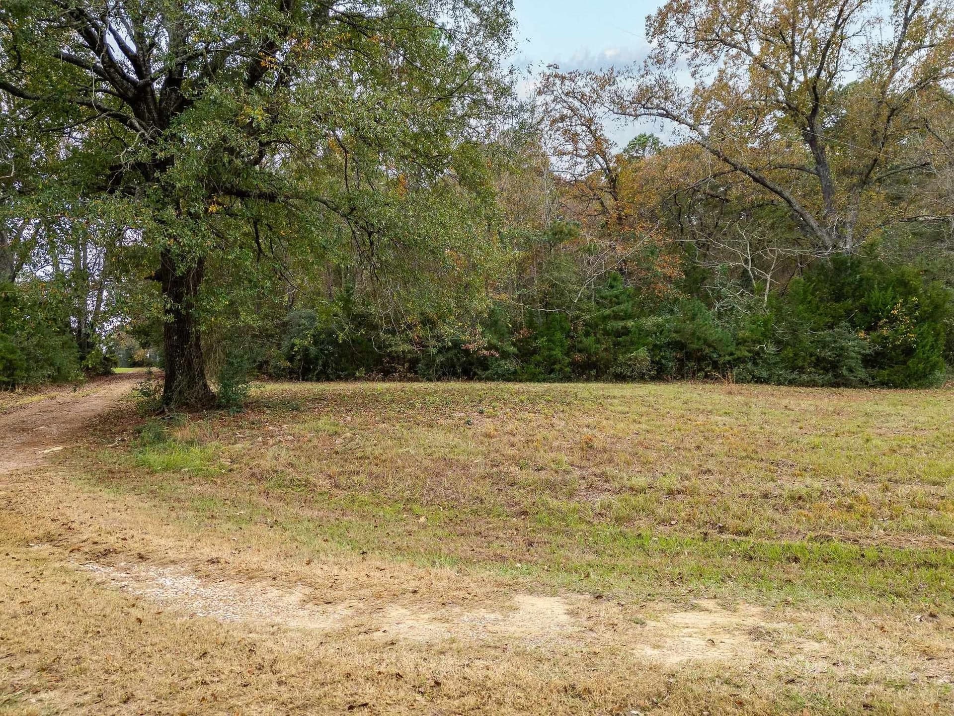 16.88 acres in Texas County - photo 4