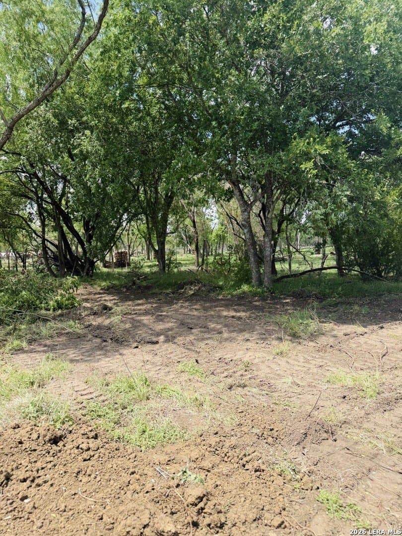 2.49 acres in Bexar County gallery image 3