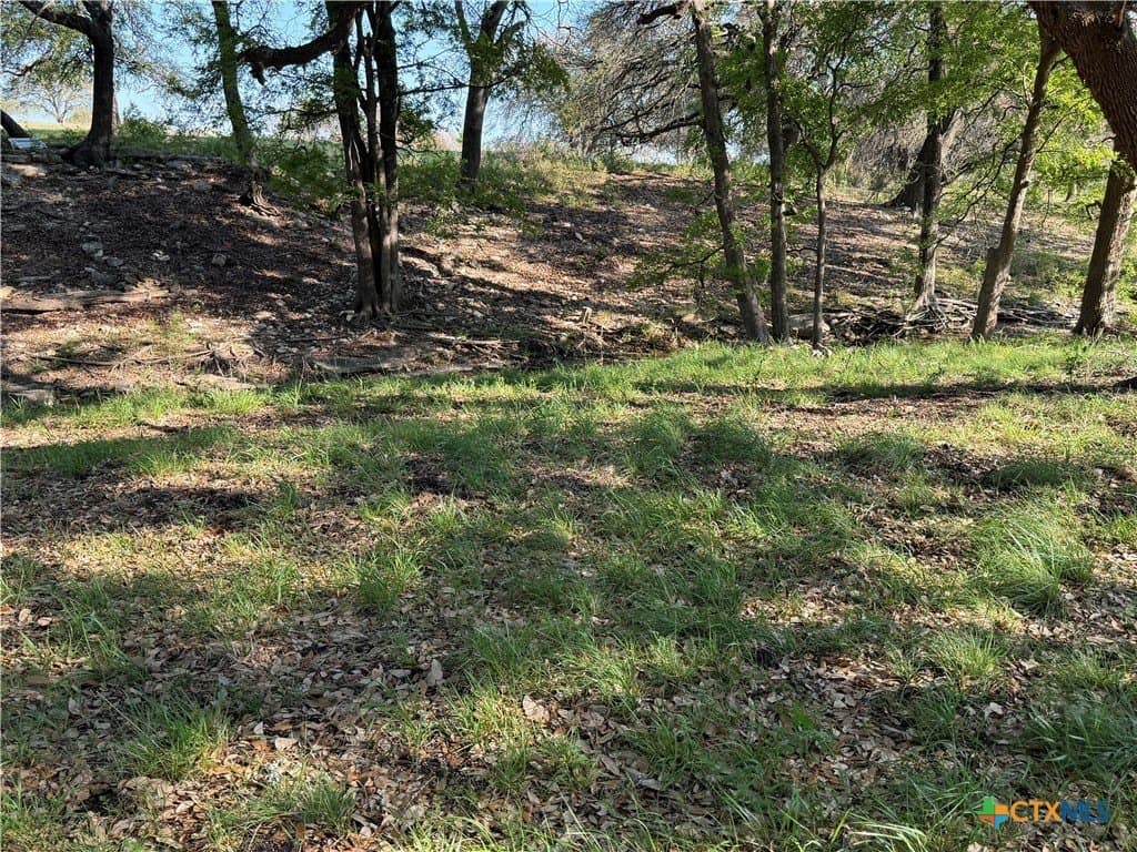 5 acres in Coryell County - photo 20