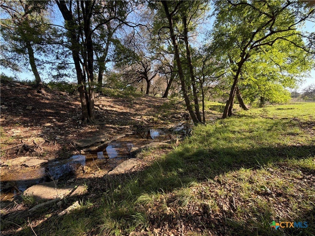 5 acres in Coryell County - photo 23